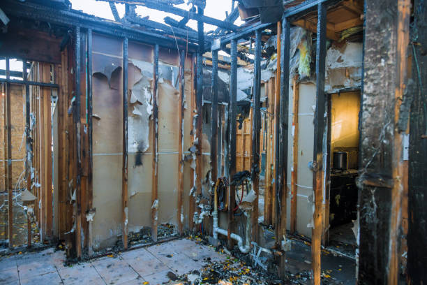 Professional Fire Damage Removal technician working in Bellevue, WA