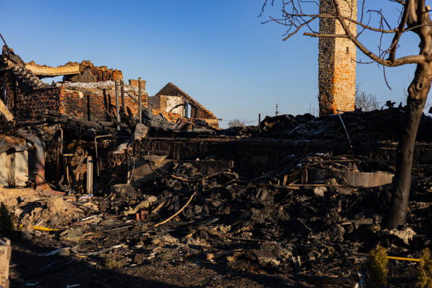 Reliable Fire Damage Removal contractor in Bellevue, WA by Fire Damage Doption