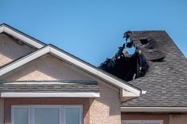 Top rated local Fire Damage Removal specialists in Bellevue, WA